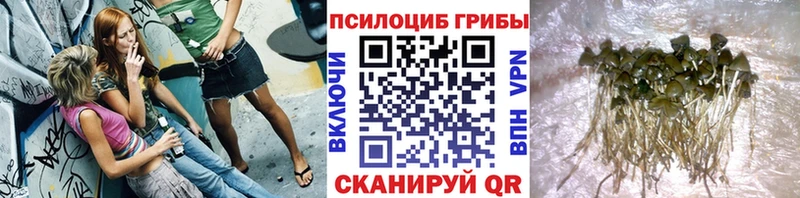 Псилоцибиновые грибы мицелий  Киржач 